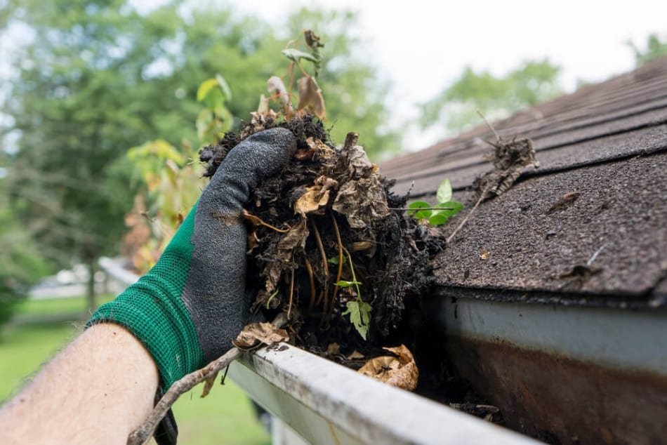 How to Clean Gutters